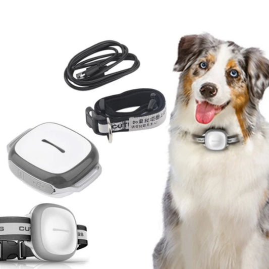 GPS Collared Cat Dog Tracker Pet Locator Pet, GPS pet locator