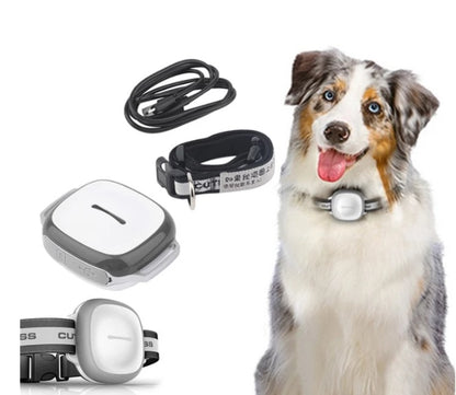 GPS Collared Cat Dog Tracker Pet Locator Pet, GPS pet locator